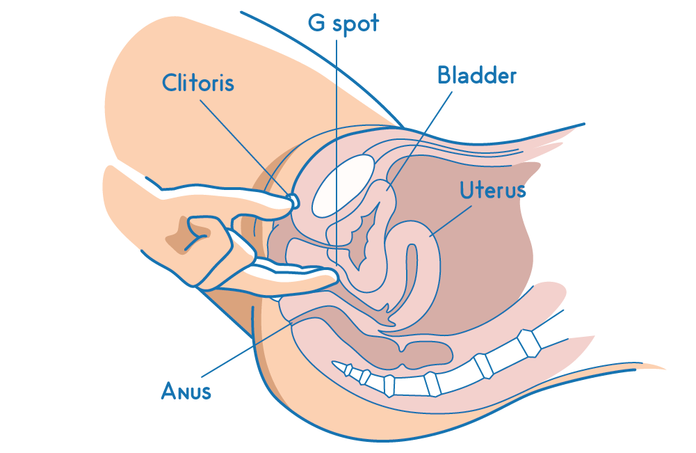 Squirting 101: How To Squirt During Sex