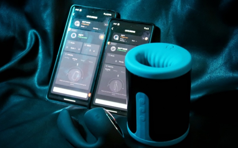LELO F2S Review: Is This Smart Stroker Worth the Investment?