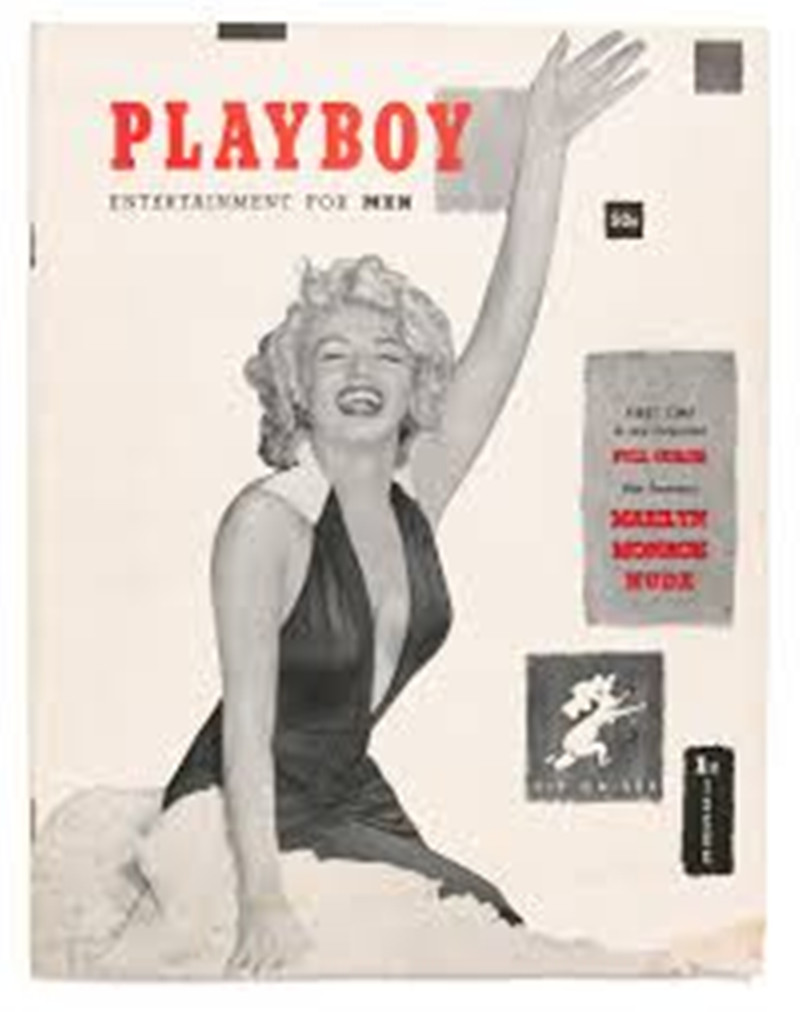 playboy pleasure：freedom your sex