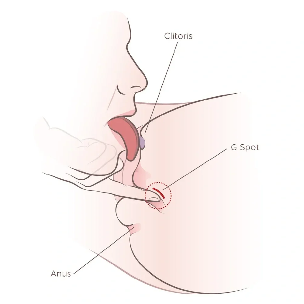 oral and manual stimulation technique clitoris g-spot