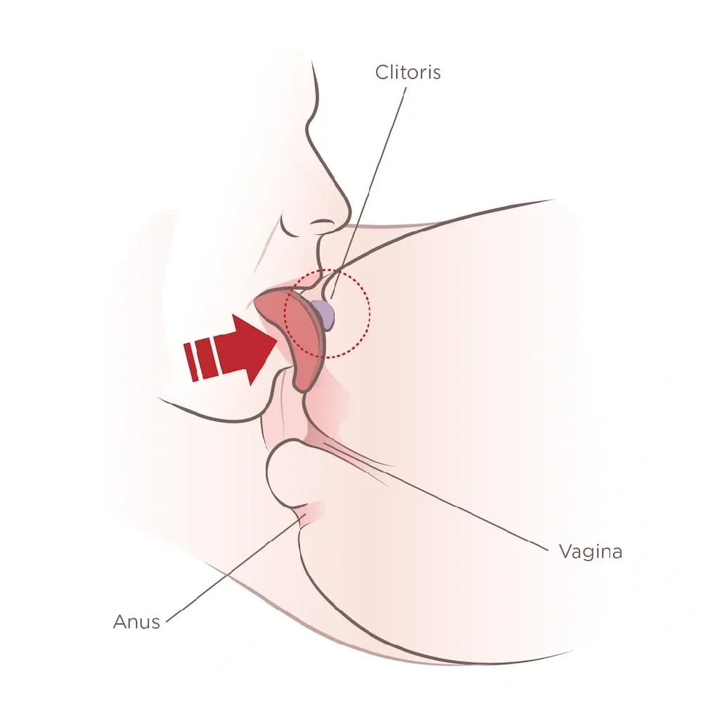 oral and manual stimulation clitoris g-spot a-spot