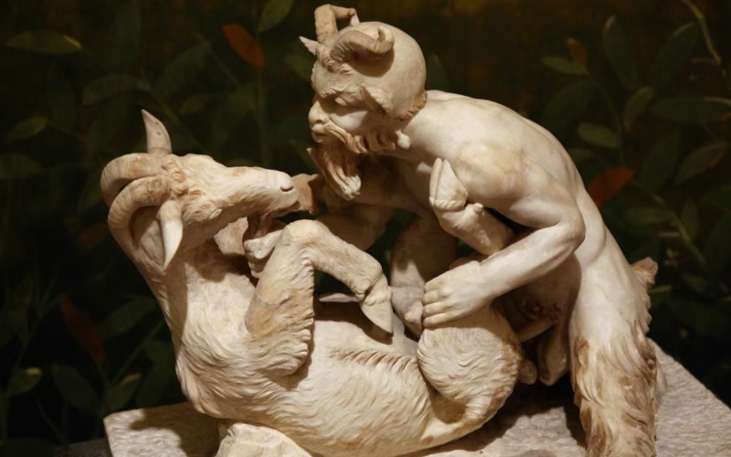Fantasy Meets Reality: Why Animal-Inspired Sex Toys Are Rising in Popularity?