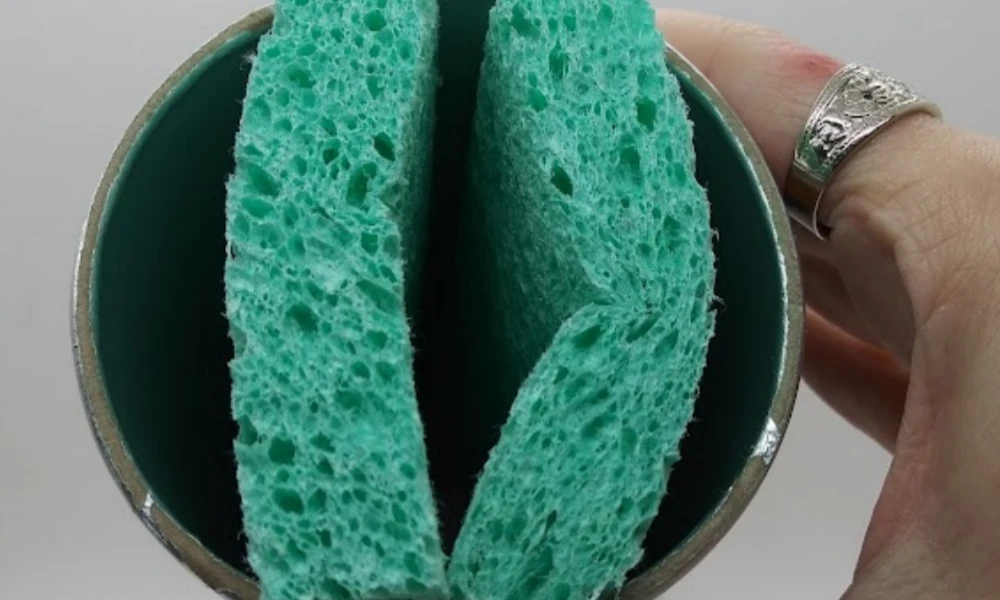 The Bottle and Sponge Chamber