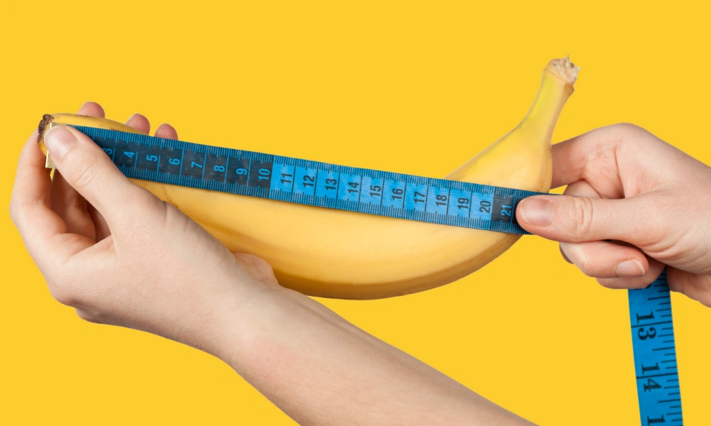 average penis size average penis size